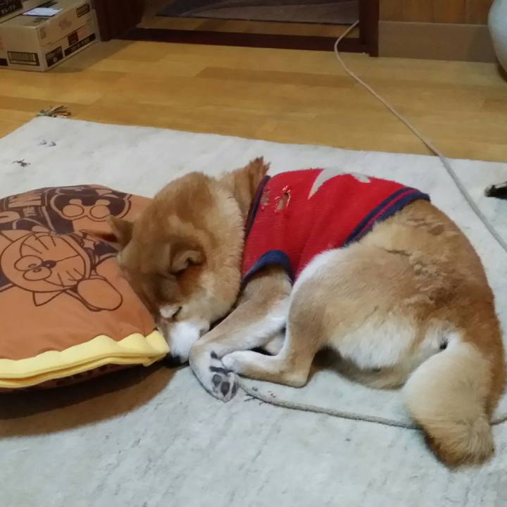 Cc85c3e1 5128 43a6 a115 b43903e217f0