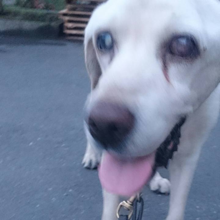 Cc8730cb 5731 4907 9225 1cd89df31929