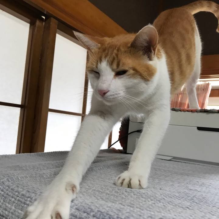 Cc8736d3 c06c 4b1c b432 3ba47adbaf73