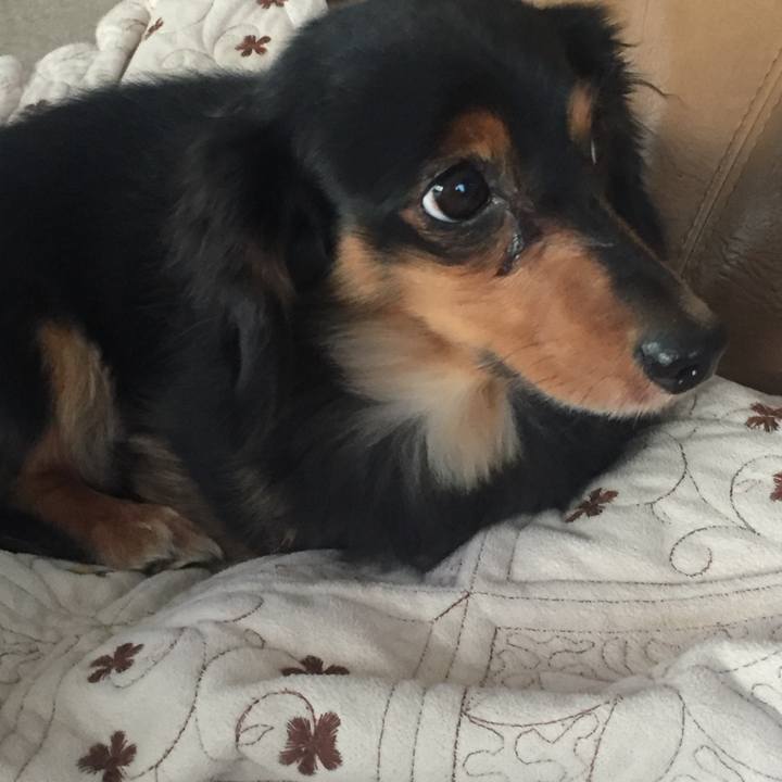 Cc877dfa 63b6 4faf 8900 6e9b90553cba