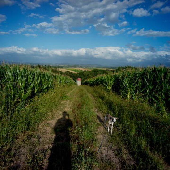 Cc87814b c0a9 4ebb 9d2e 71dc1193b64c