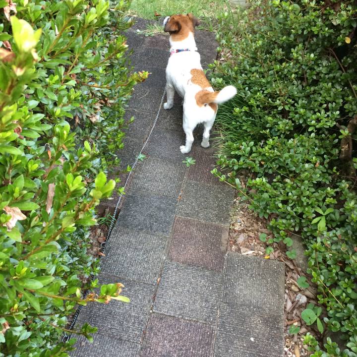 Cc88bdc4 0567 489e 9de0 95ddf3f16c57