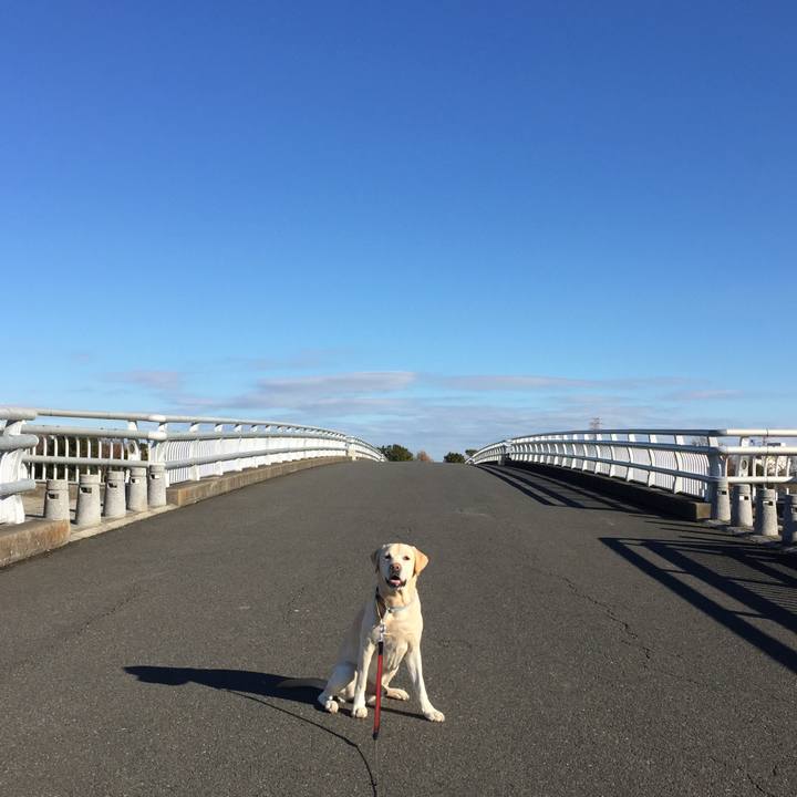 Cc88d983 852e 45b7 a4c5 b299d897f847