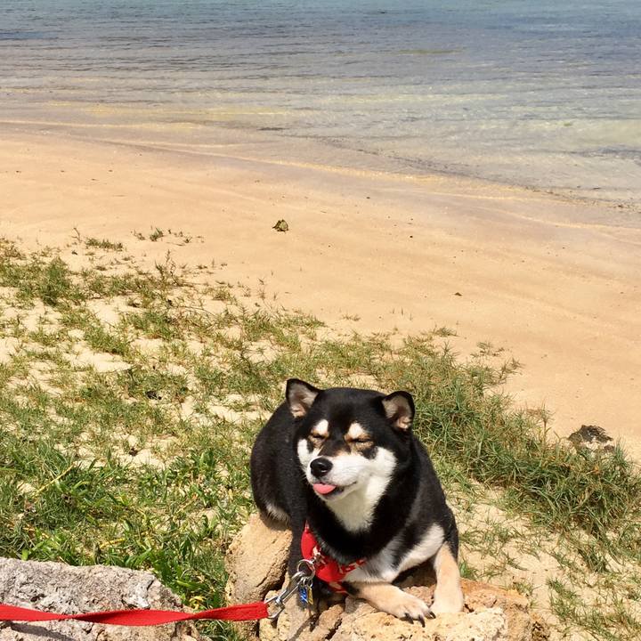 Cc890563 c256 4550 8f33 f85756c22b50