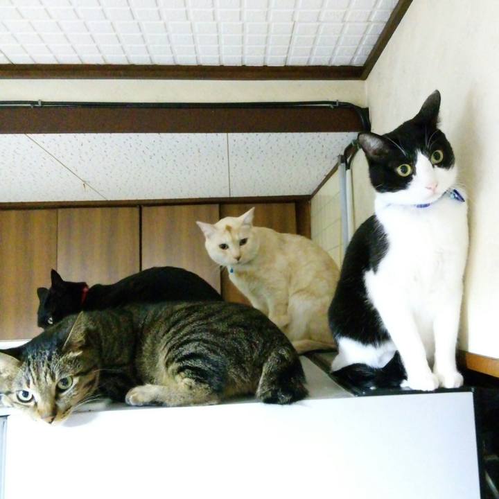 Cc8977c5 e6b4 41f0 b233 417a6519f0fa