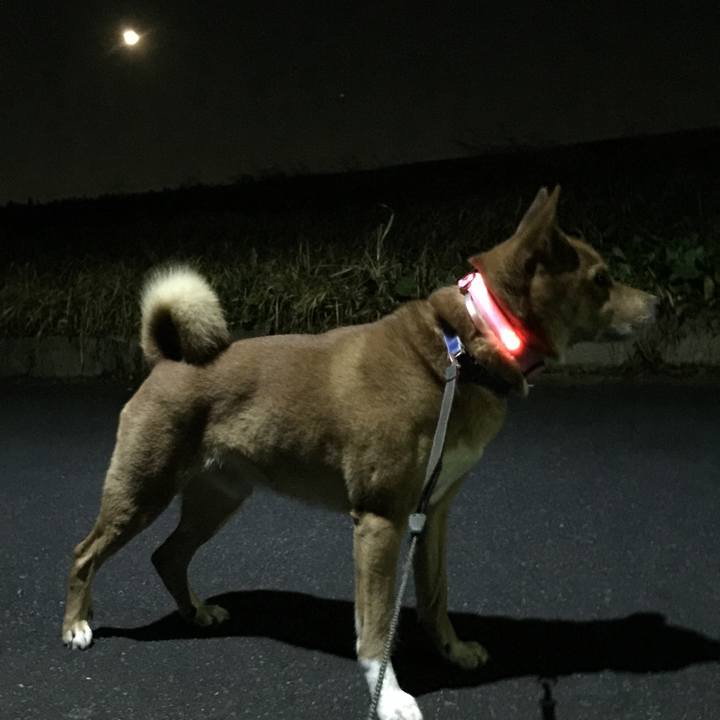 Cc8a28fd e5d2 4cb8 b58f 047d66d1758f