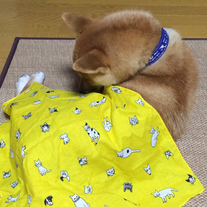 Cc8b5eca 6061 4b5d bbf0 8be3192e3f90