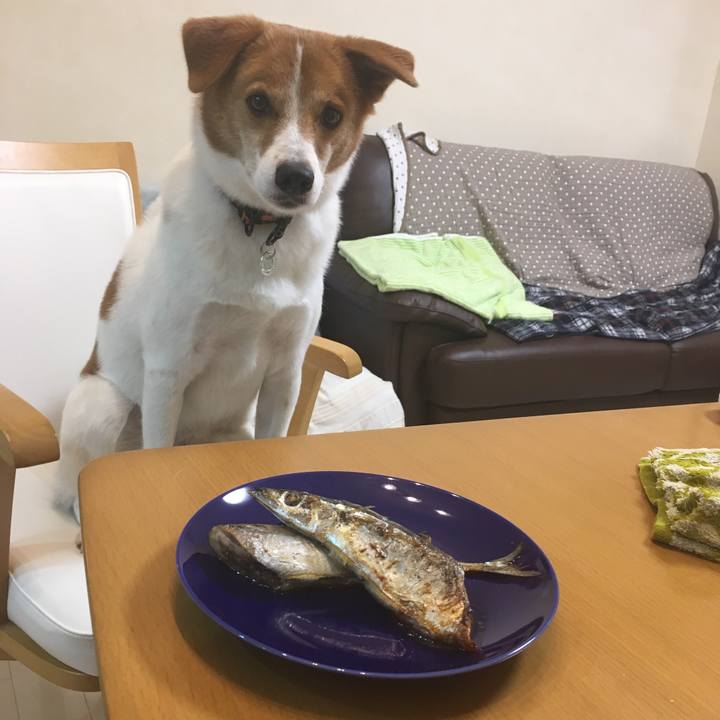 Cc8bce9c f890 4925 af51 a2adbf45f2a8