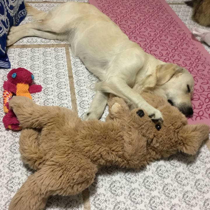 Cc8c9b51 67a6 44ba 95d0 b88db806adfb