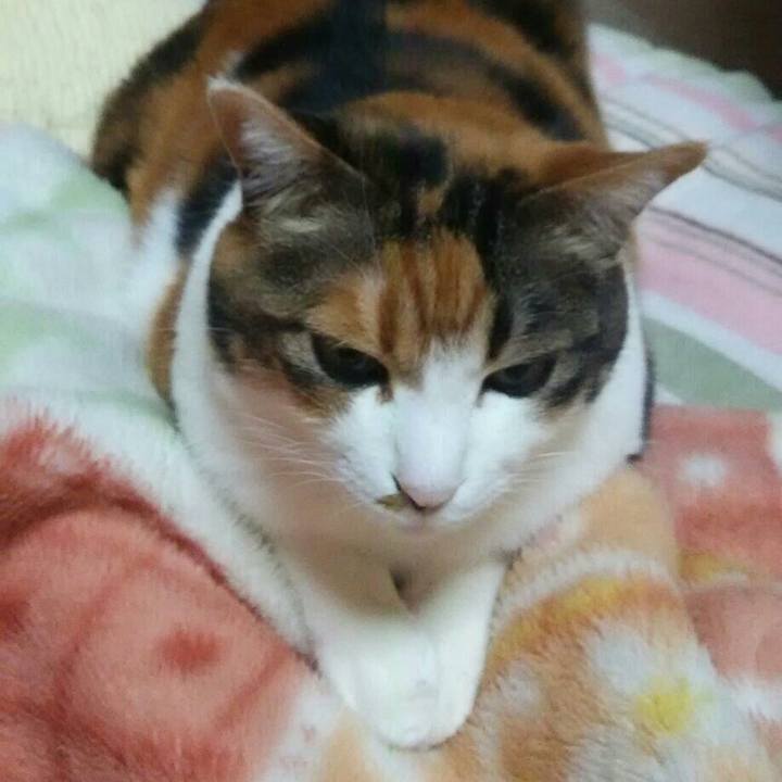 Cc8cba3f c76f 4197 8ea4 a29a8b8cf665