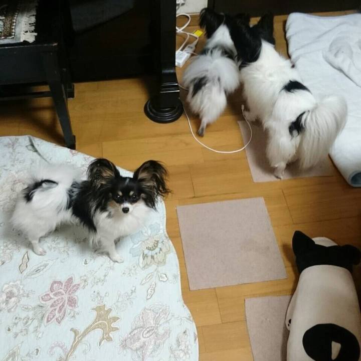 Cc8cda1b 8ad1 48d3 a74e 3a622d534ce1