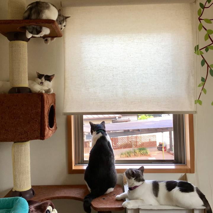 Cc8d82c9 22c9 4363 9d64 d923cb7b413c