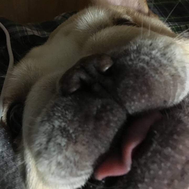 Cc8dce0e 30eb 4d44 92bb d1e48a13c69d