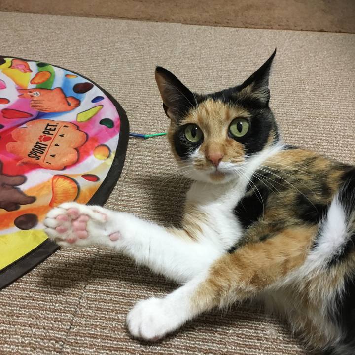 Cc8e7dfe fca8 46a7 9ff3 e31653da80d7