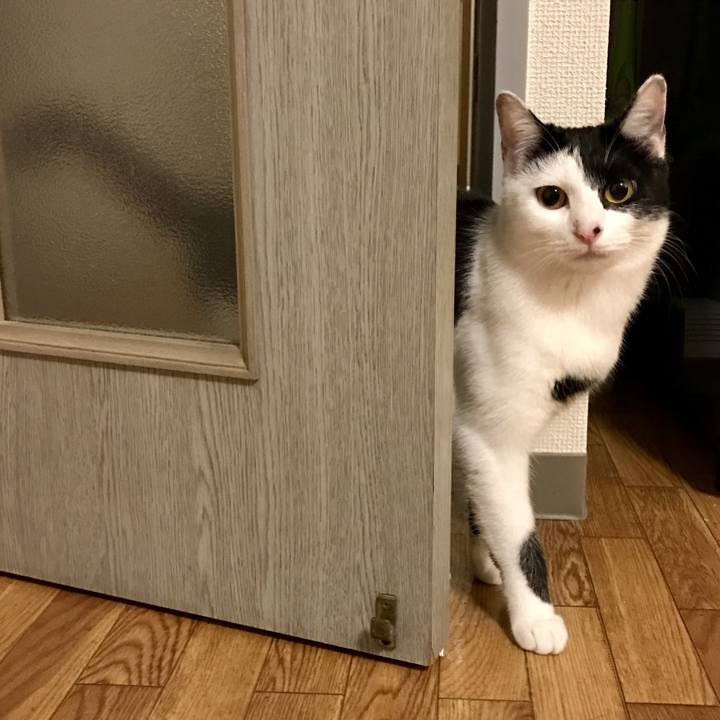 Cc8fa0ef 92d3 4280 bf01 f07feaf935b3