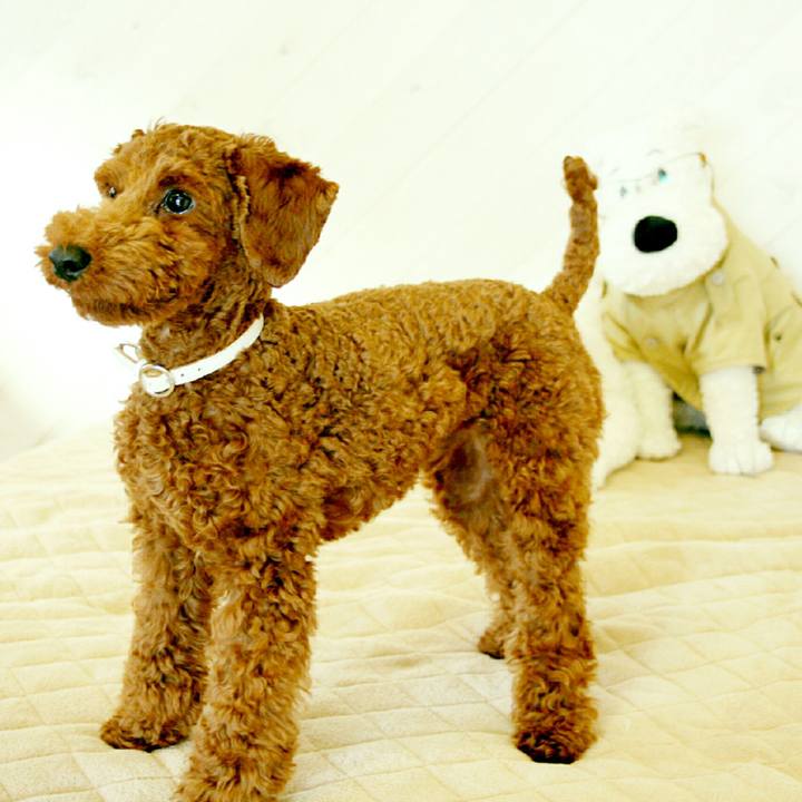 Cc90d14b 6f73 4c52 8360 5ae767cae85d