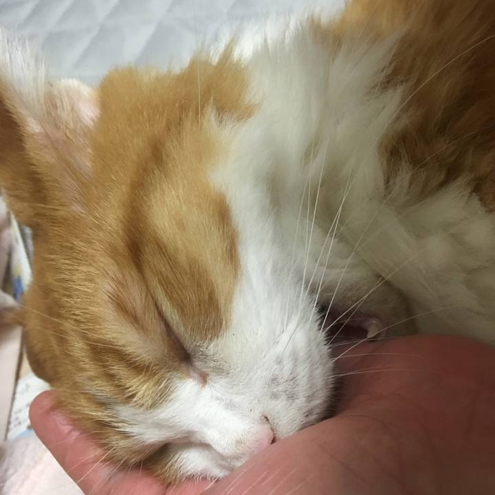 Cc90d3f4 e2e7 4d5b 9110 c1e8ca2ffedc