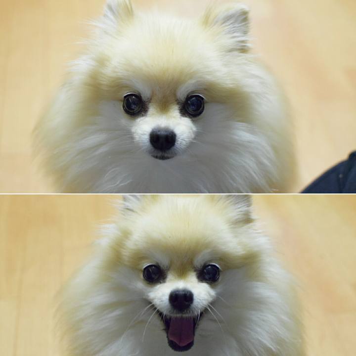 Cc90f3cd aac3 41d2 8c35 15c54a874585