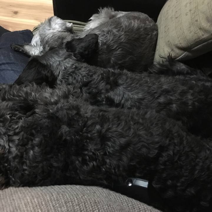 Cc915237 e05d 4b1b 961e 681762a15ca3