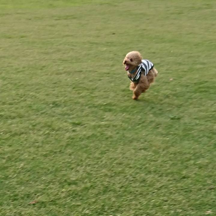 Cc918c76 cd33 4958 969f 4ec036d02a9f