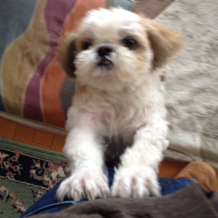 Cc91ceb3 22c5 48f8 9335 cccfa419fb64