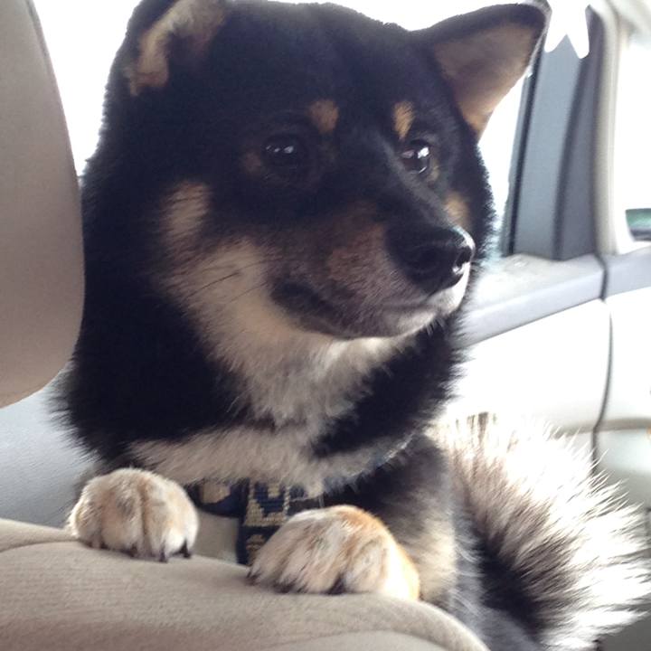 Cc91fe57 6273 4c4f a803 2d388135abe1