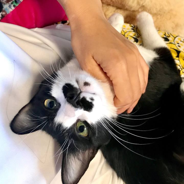 Cc92da0d e55f 4e52 b9f0 5dbc9ca43045