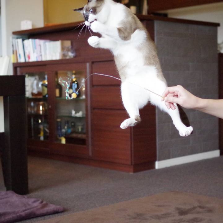 Cc92f217 455f 489e 9e34 d165223aaf4a