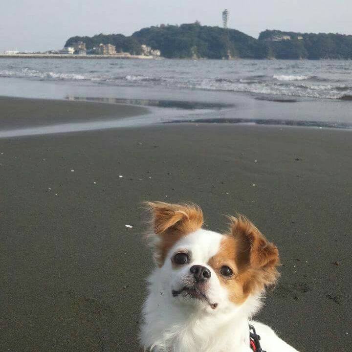 Cc9311d1 0f72 4459 8c9a d85b97767dbb