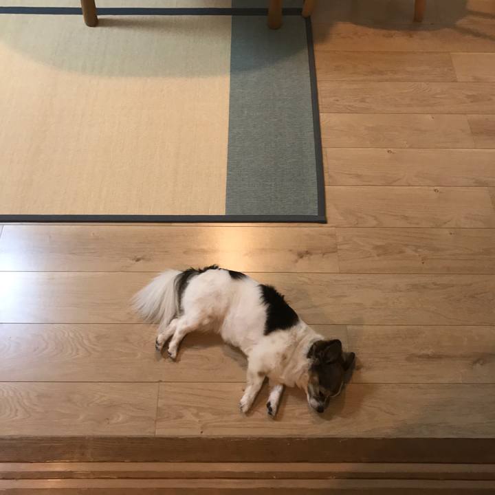 Cc934157 ed12 44d4 8b21 feccb4a908ff