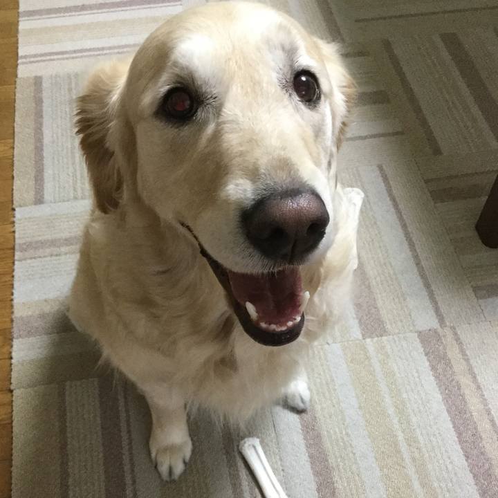 Cc9345f5 9cf8 4516 b63f 2338209c7fe0