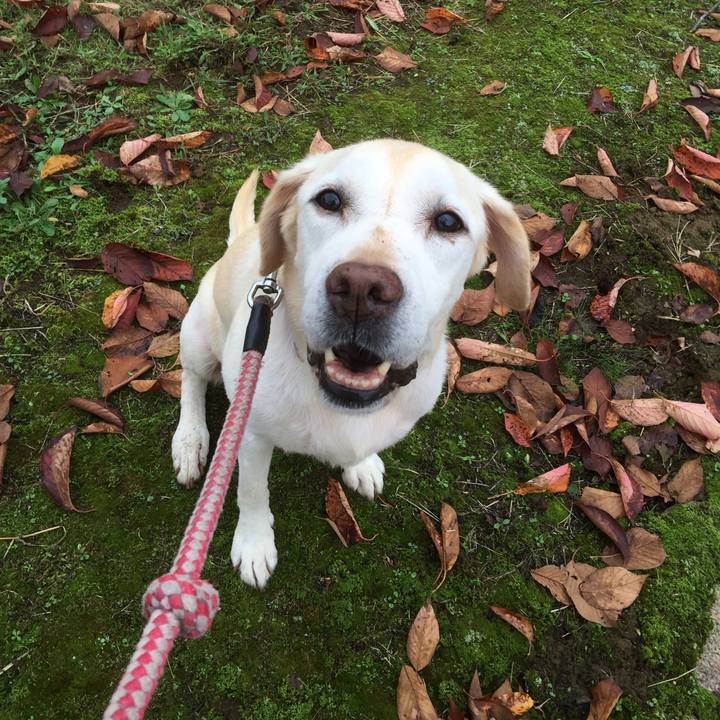 Cc93ac53 473b 43ed bfa2 f3cf4a17a2ee