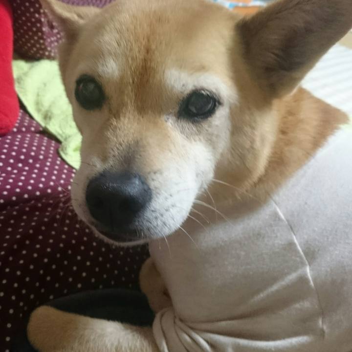 Cc93bf3a 7a97 41d6 ae25 b6e7fce27f29