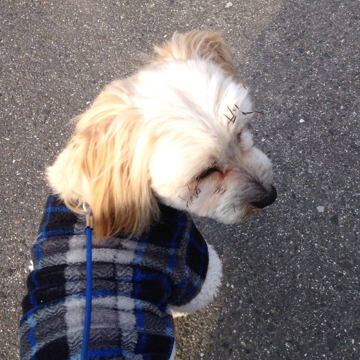 Cc93c0f8 b898 4b30 8f87 7927f1c24b09