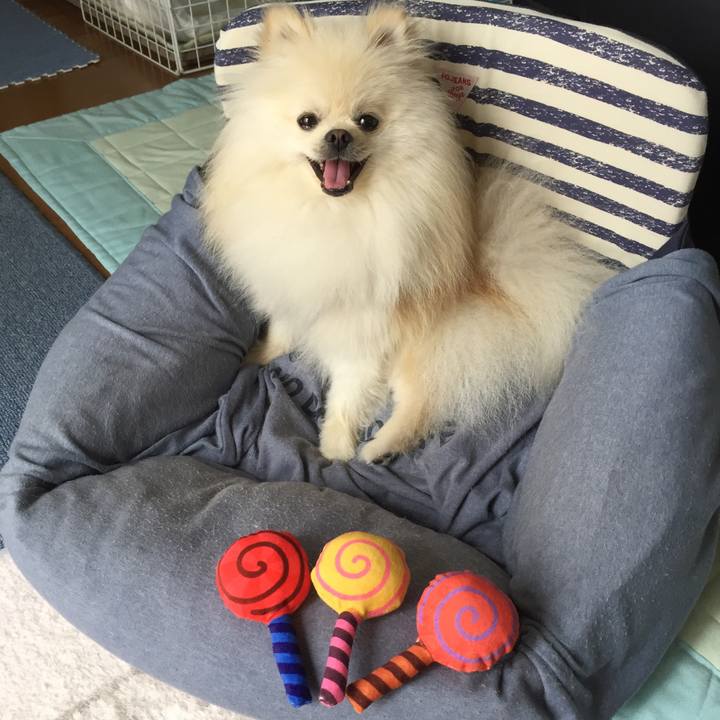 Cc93f15c 599e 4d5b 938a 83f5cafc040a