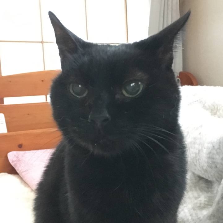 Cc940540 09cc 407c 9540 9a2e5de6e24b