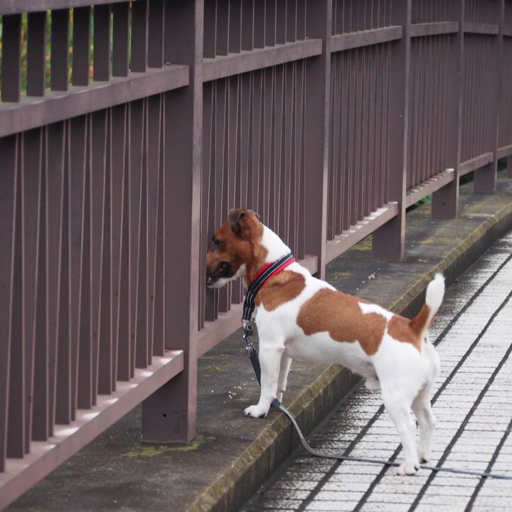 Cc949ea6 a860 4af4 b1e8 1e21c97c1593