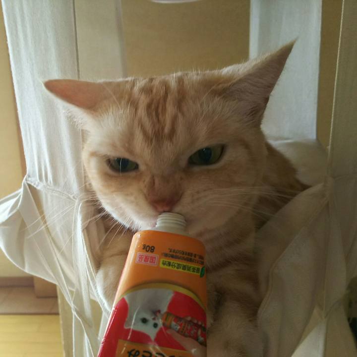 Cc9503d9 c6ba 4a3b 97a6 a05a15385a8e