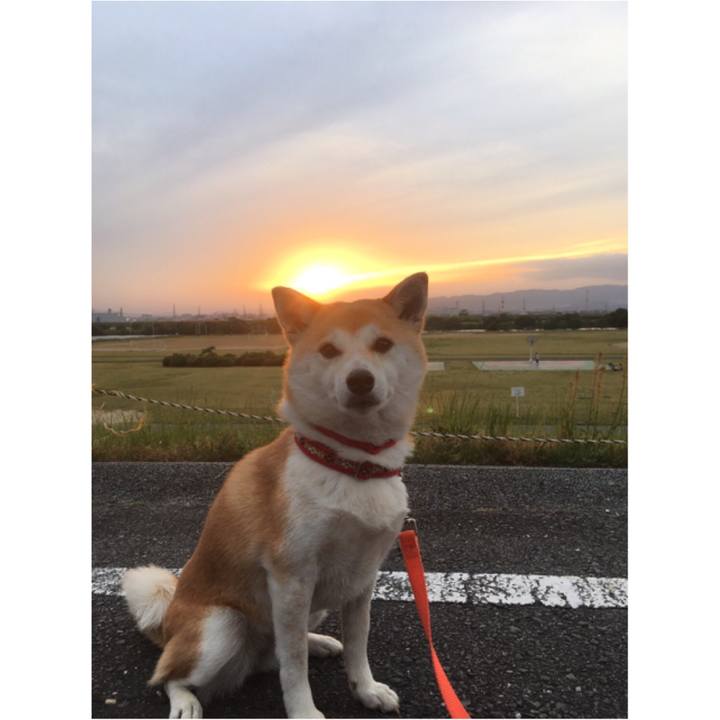 Cc950be3 fdde 4af2 9630 93939d894283