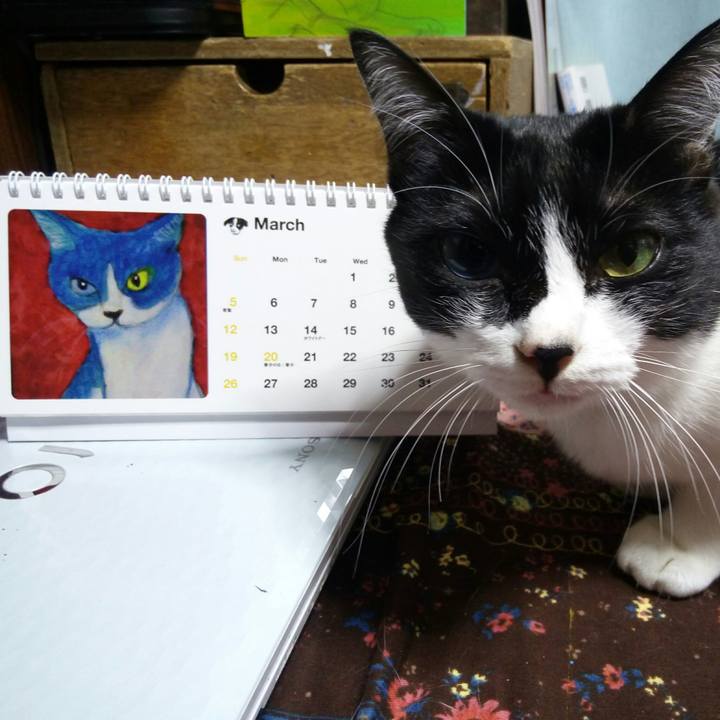 Cc954568 8b7c 43cb a4e7 152431476973