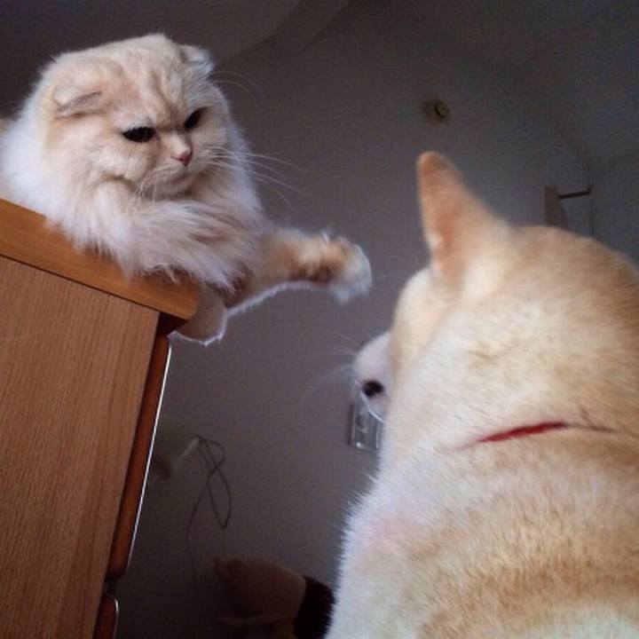 Cc95ad25 3142 4387 ae15 f40cfa689582