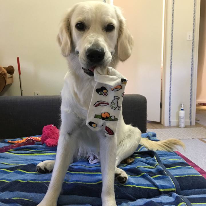 Cc95d26a 850f 4cc7 8046 2f8ce3cb066b