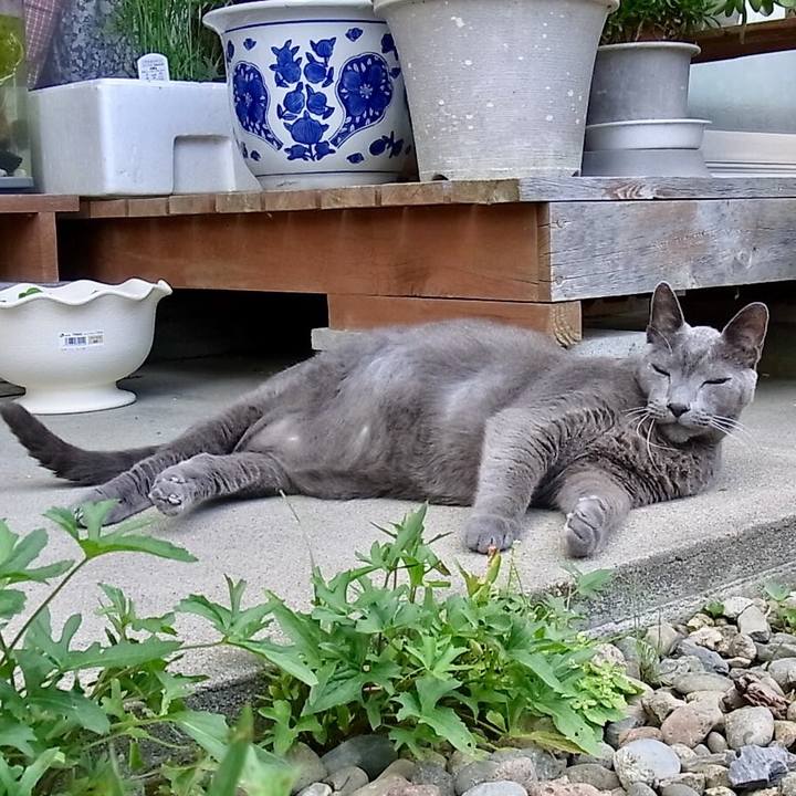 Cc96a6d7 01b7 4695 9884 0fc1d93d78a3