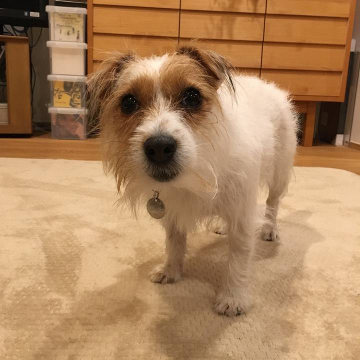 Cc976a0c 0e4d 4fd9 b80b bce0ce869fb6