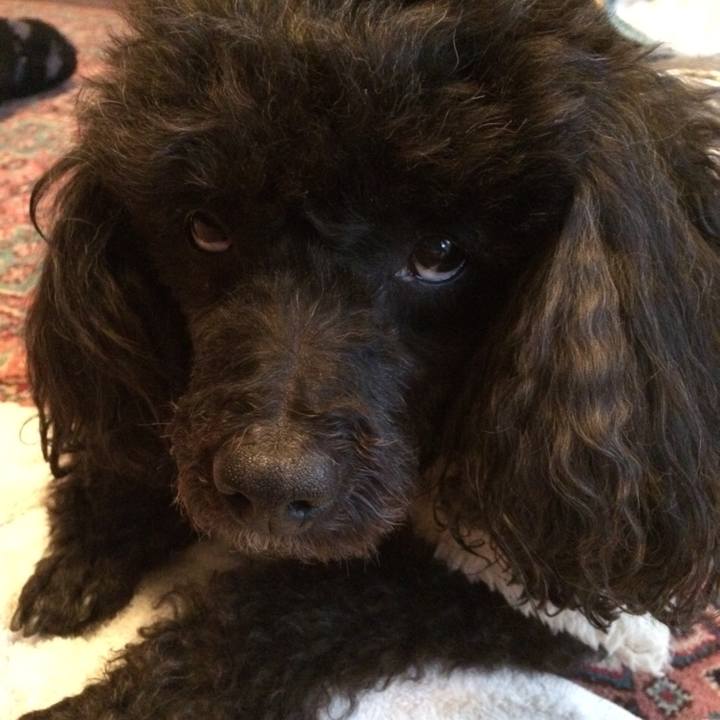 Cc97c81f 9355 47ec b28d 22fd3a105cbc