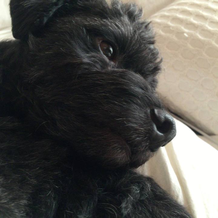 Cc980269 10ac 43df a508 d8838e178692