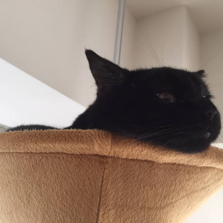 Cc981543 54b6 4669 b987 281cedd8a98f