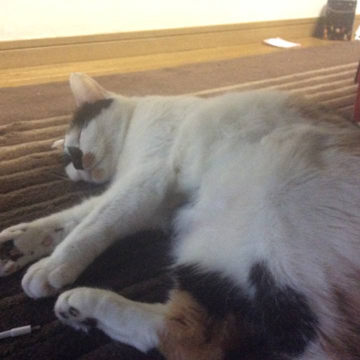 Cc988927 41eb 414e b8f9 e3cac0f2fe8e