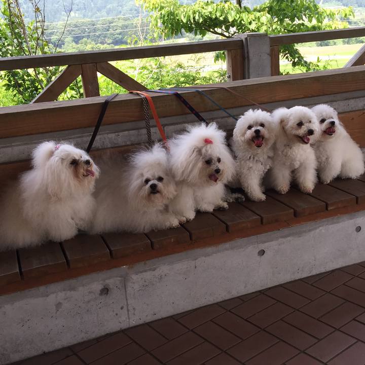 Cc989b3b 12c7 4a95 b7df 1299b459e9cc