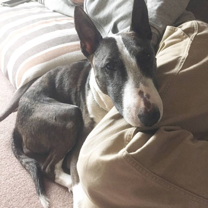 Cc98f20b b369 4f66 9a55 c02e076f84b6